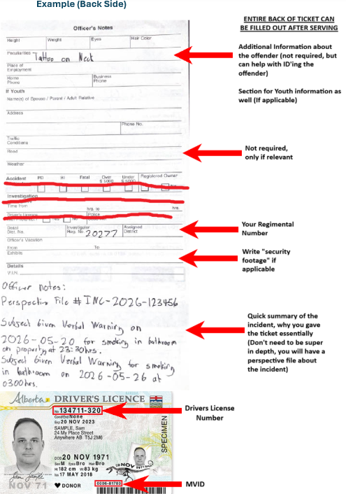 Annotated back side violation ticket example